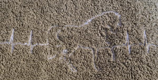 Vollstickdatei EKG-Linie Pferd